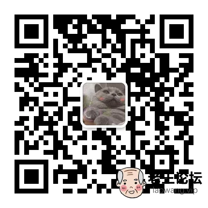 mmqrcode1613670789039.png